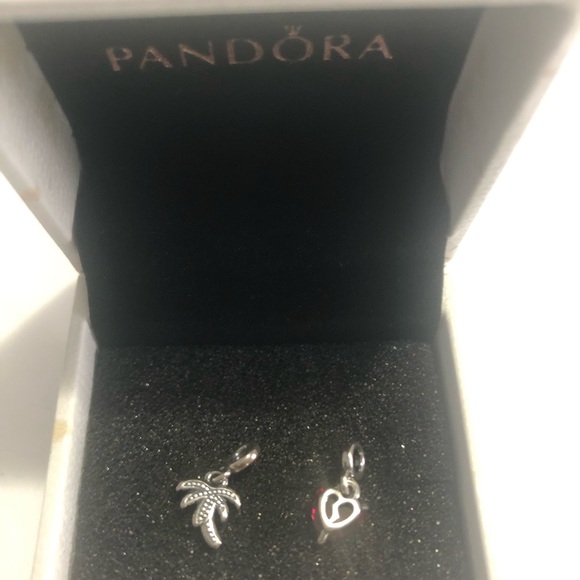Pandora Charms - Picture 2 of 3